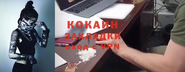 крисы Инсар
