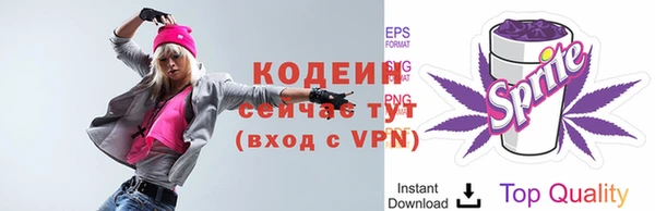 крисы Инсар