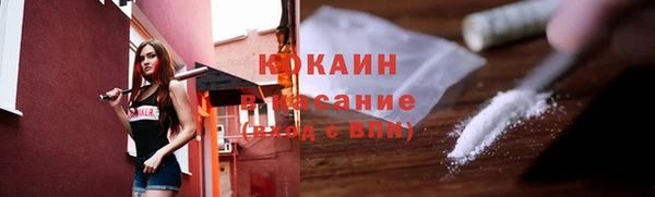 крисы Инсар