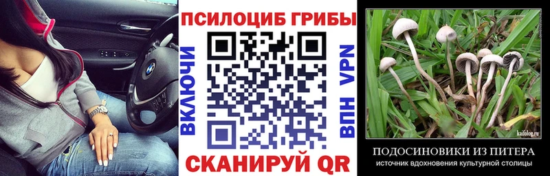 ссылка на мегу рабочий сайт  Мичуринск  Псилоцибиновые грибы прущие грибы 